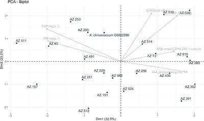 Agronomic advantage of bacterial biological nitrogen fixation on wheat plant growth under contrasting nitrogen and phosphorus regimes